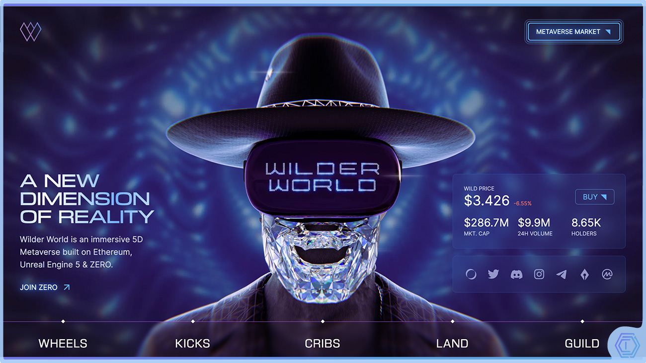 image de présentation d'un article de blog sur Wilder world