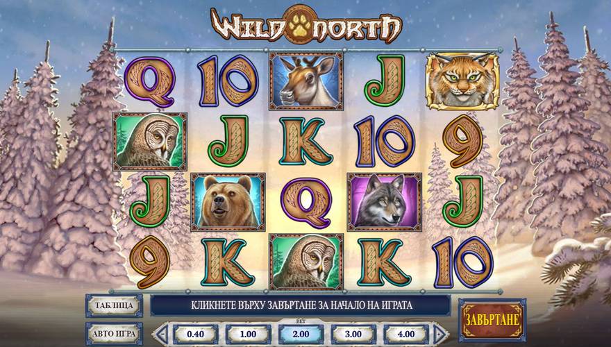 logo Wild North