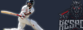 image Cricket image Cricket