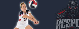 image Volley-ball image Volley-ball
