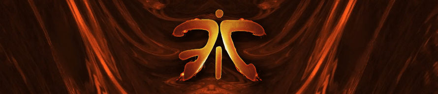 image de présentation Fnatic