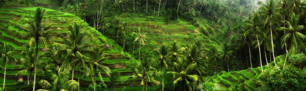 imagen de las oficinas de Narrow.io en Bali