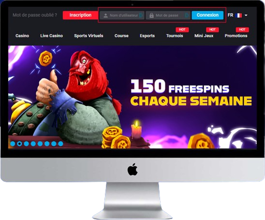 Entrez vos informations personnelles Mystake