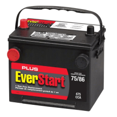 EverStart PLUS- 75 Dual Terminal