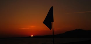 Test G4D