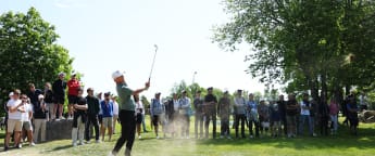 Test Live Stream Gallery Experience