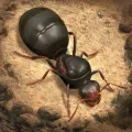 Top Up The Ants