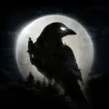 Top Up Night Crows - Link