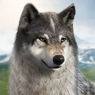 Top Up Wolf Game Wild Animal Wars