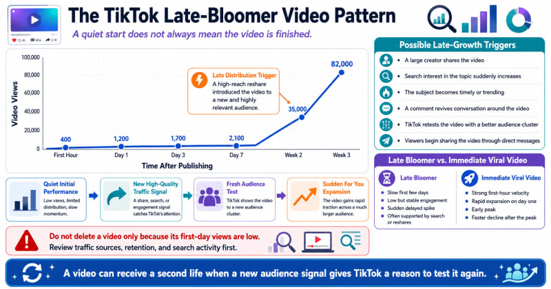 Graph showing a TikTok late bloomer video with a quiet start followed by a sudden spike in views