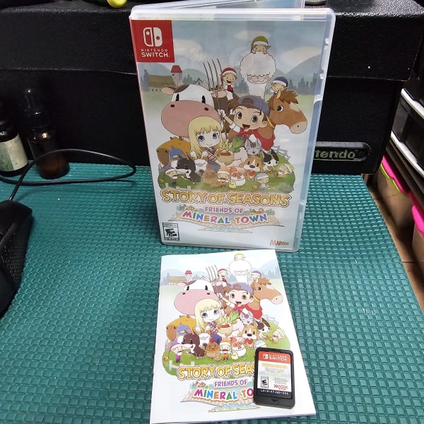 Story of Seasons: Friends of Mineral Town