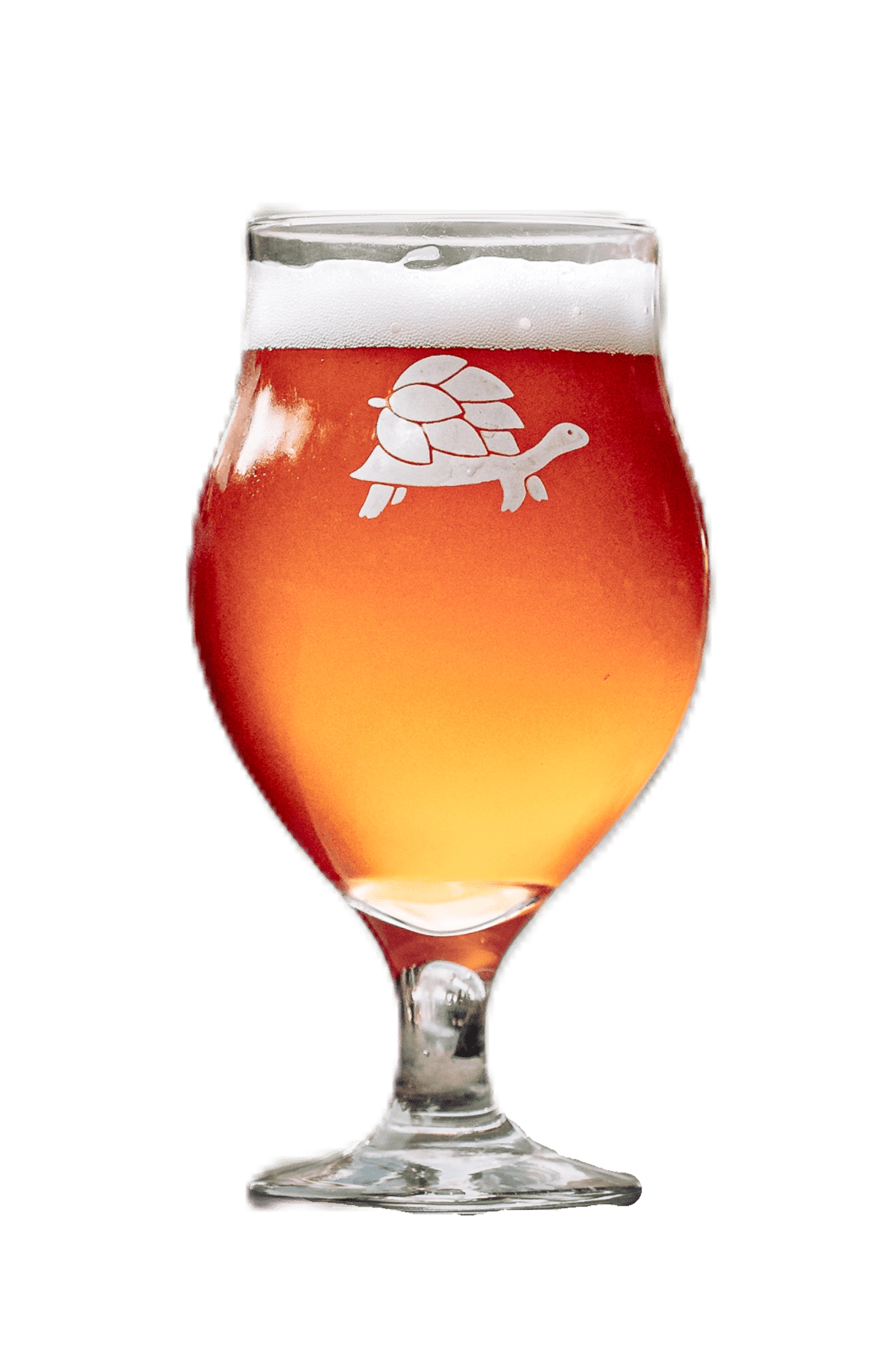 Belgian Style Witbier Craft Beer Pour - The Ferment Formula