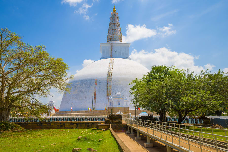 Sacred Kingdoms & Cloud Forests: Cultural Triangle to Ella