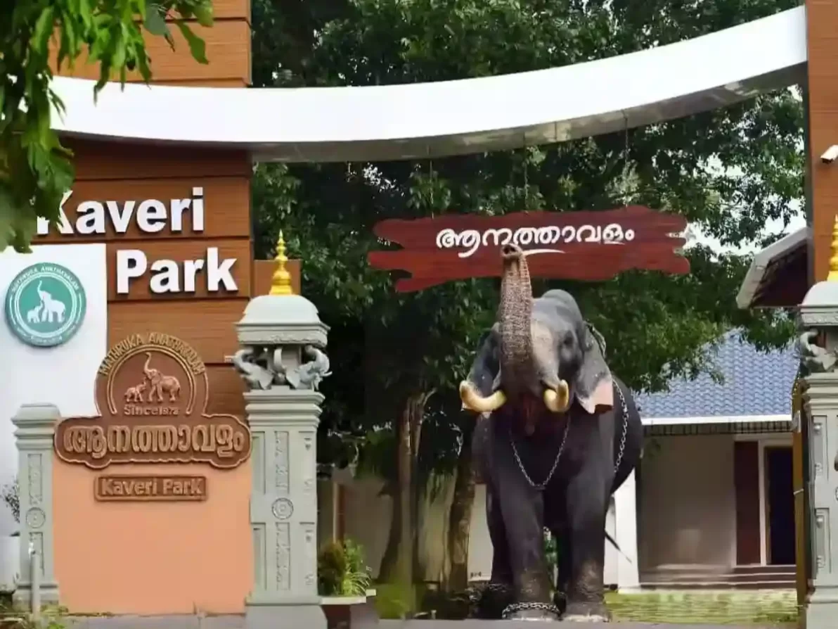 Kaveri Elephant Farm & Mangrove Forest Kayaking Tour from Varkala