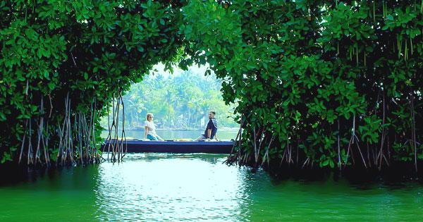 Kollam & Munroe Island Backwater Cruise from Varkala