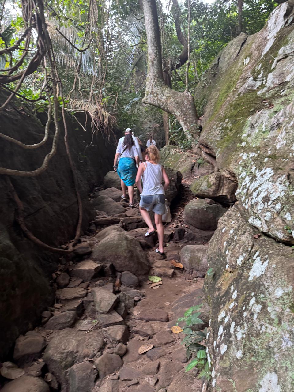 Ponmudi Hill Station Trip from Varkala 5