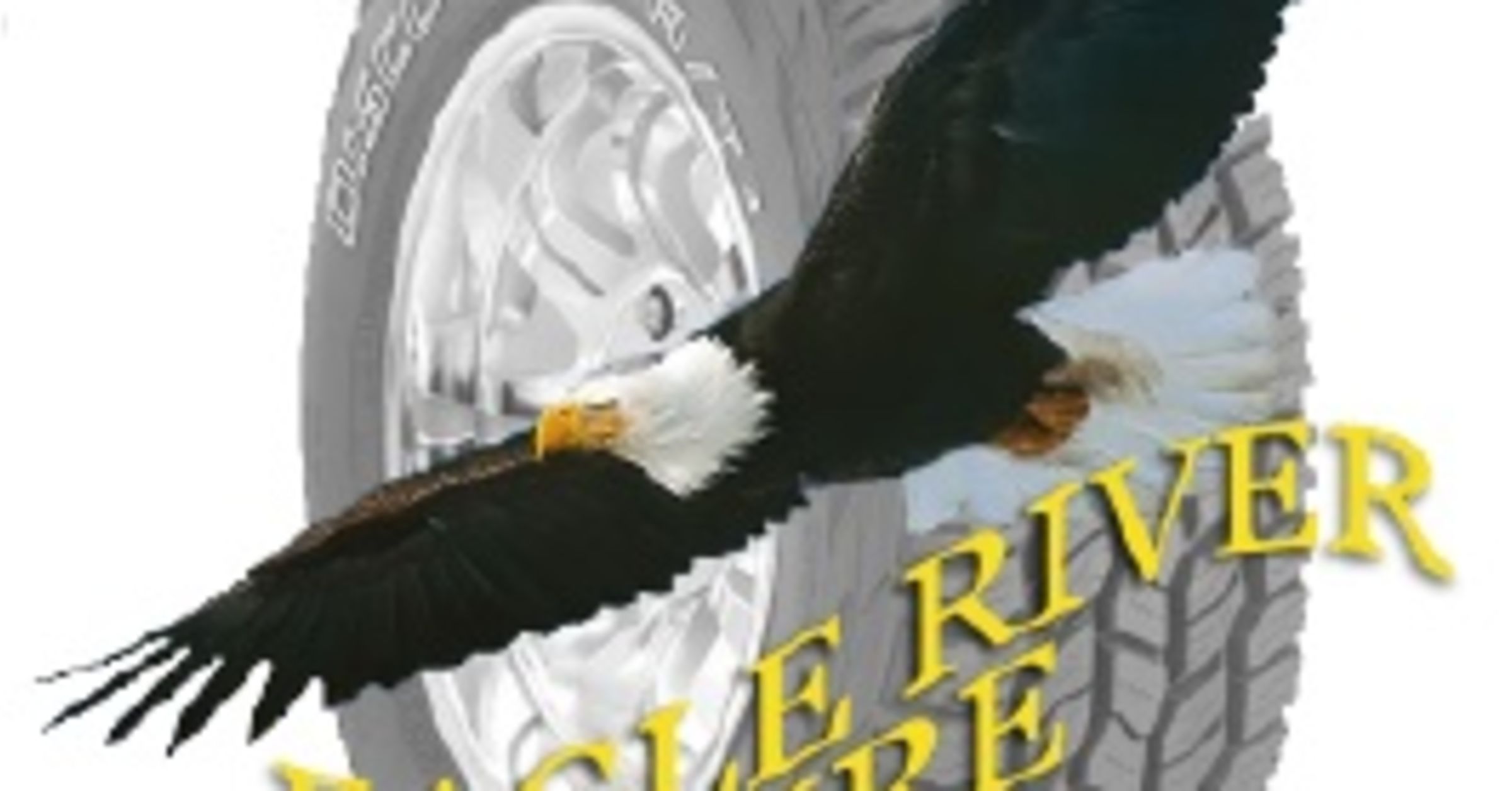 Eagle River Tire Vilas County Economic Development Corporation VCEDC