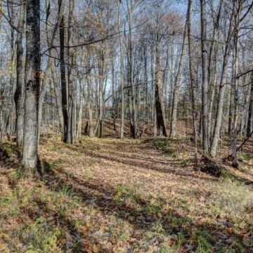 Timber Wolf Road Lot 30 on Beaver Lake, Presque Isle 7