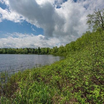 Lot #2 on Rice Lake Road in Mercer 2