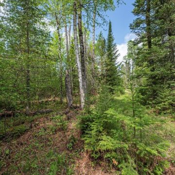 2.5+ Acres Lot 3 on Rice Lake Road in Mercer 5