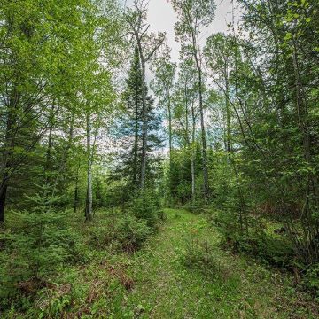 2.5+ Acres Lot 3 on Rice Lake Road in Mercer 9