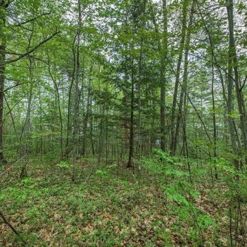 7+ Acres off Hanser Lane in Lac du Flambeau 9