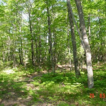 Lot 8 on Wool Lake Lane in Boulder Junction 6