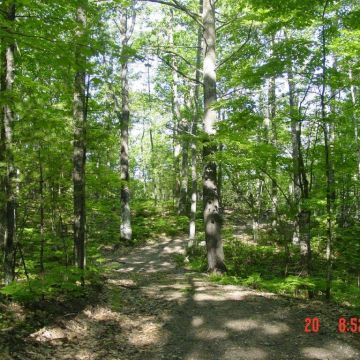 Lot 8 on Wool Lake Lane in Boulder Junction 7