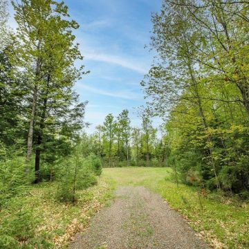 Lot B On Squirrel Lake Road in Minocqua 9