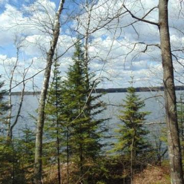 2.5+Acres on Bayview Road in Presque Isle 8