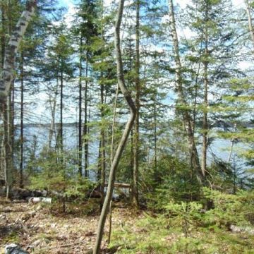 2.5+Acres on Bayview Road in Presque Isle 11