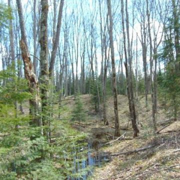 2.5+Acres on Bayview Road in Presque Isle 17