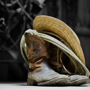 Northwoods Roundup 1