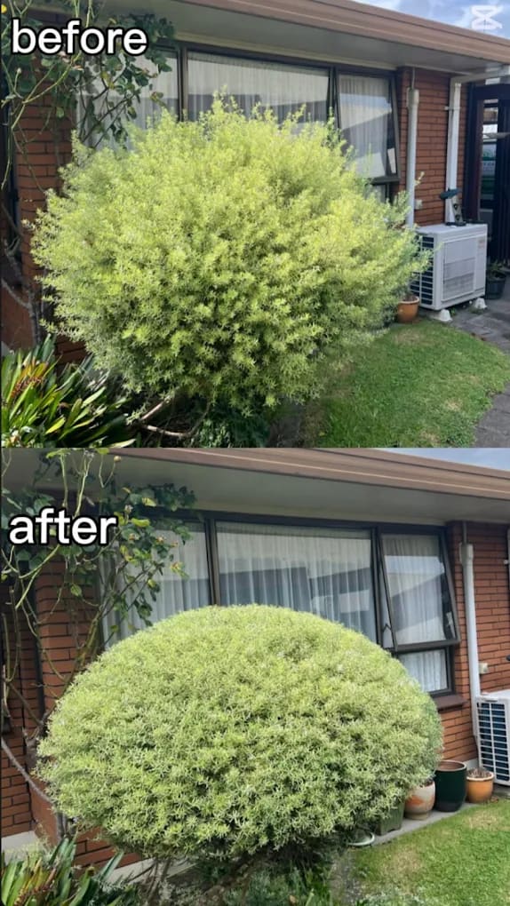 Lawn maintenance by Perfect Care Lawn & Gardening