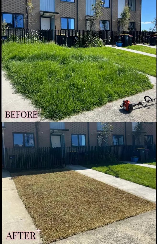 Seasonal tidy-up by Perfect Care Lawn & Gardening