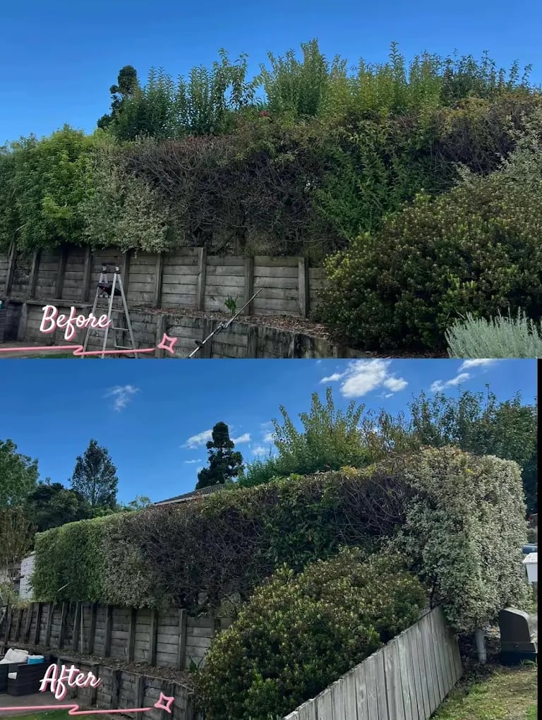 Latest project by Perfect Care Lawn & Gardening
