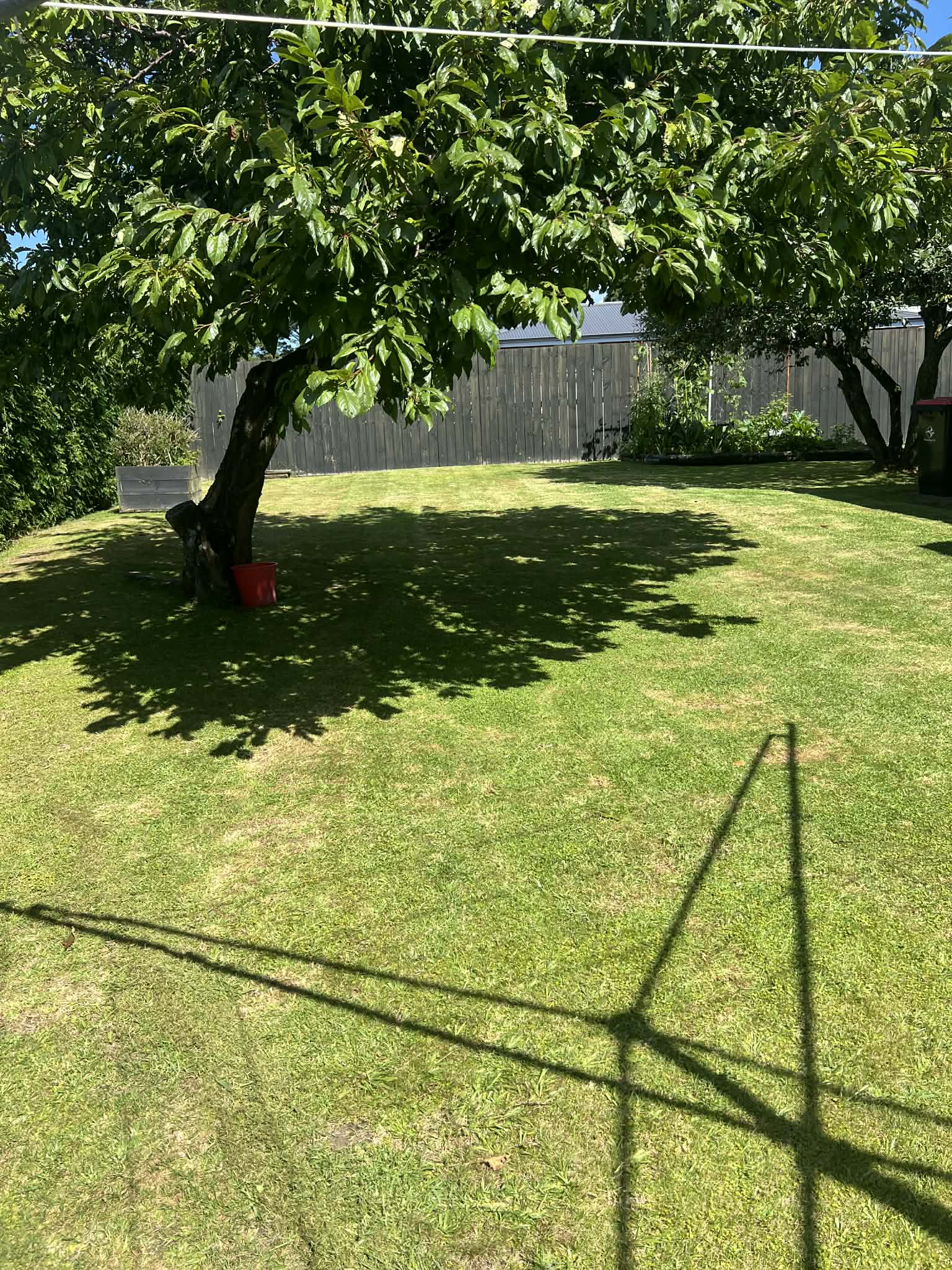 Recent project by Perfect Care Lawn & Gardening