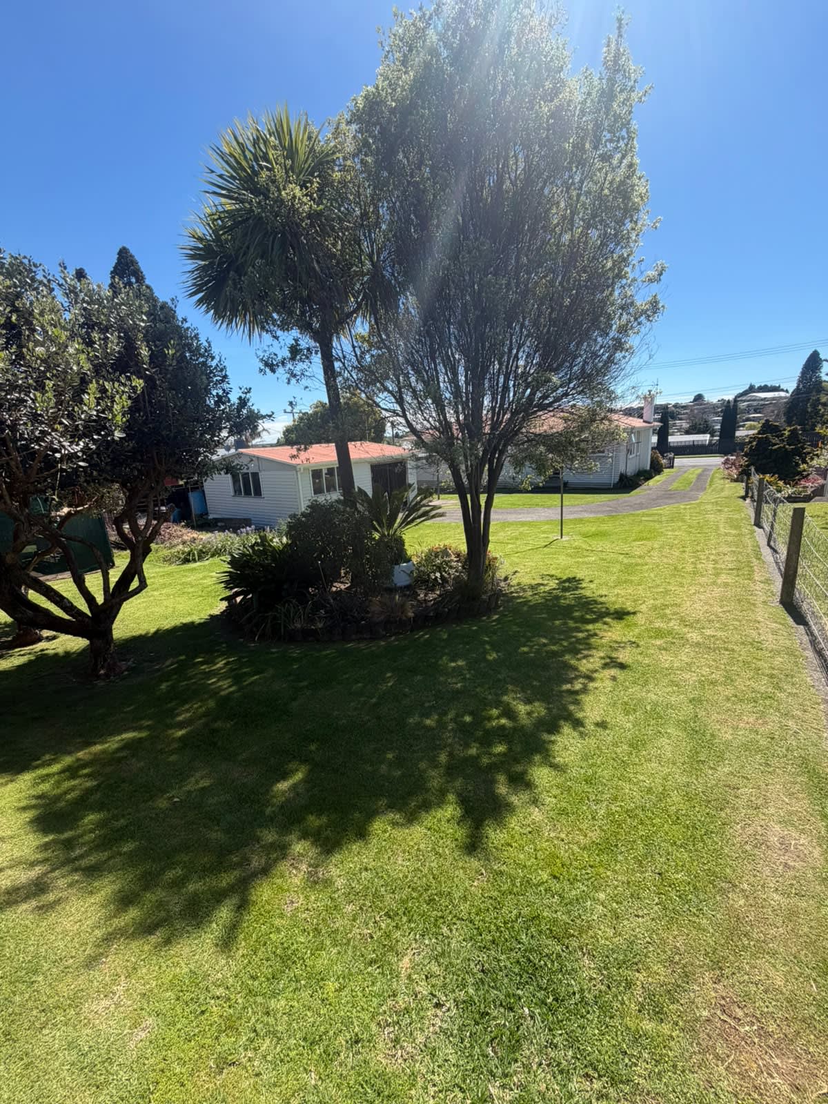 A lush, carefully maintained residential lawn