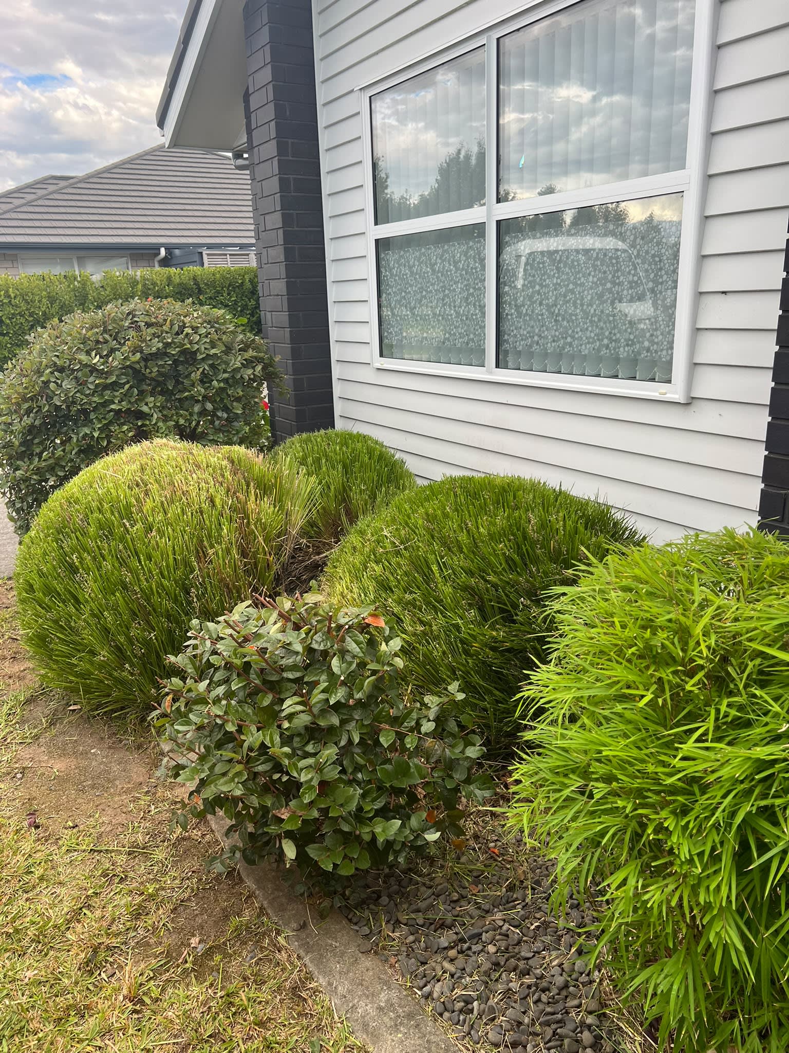 Hedge and lawn care by Perfect Care Lawn & Gardening