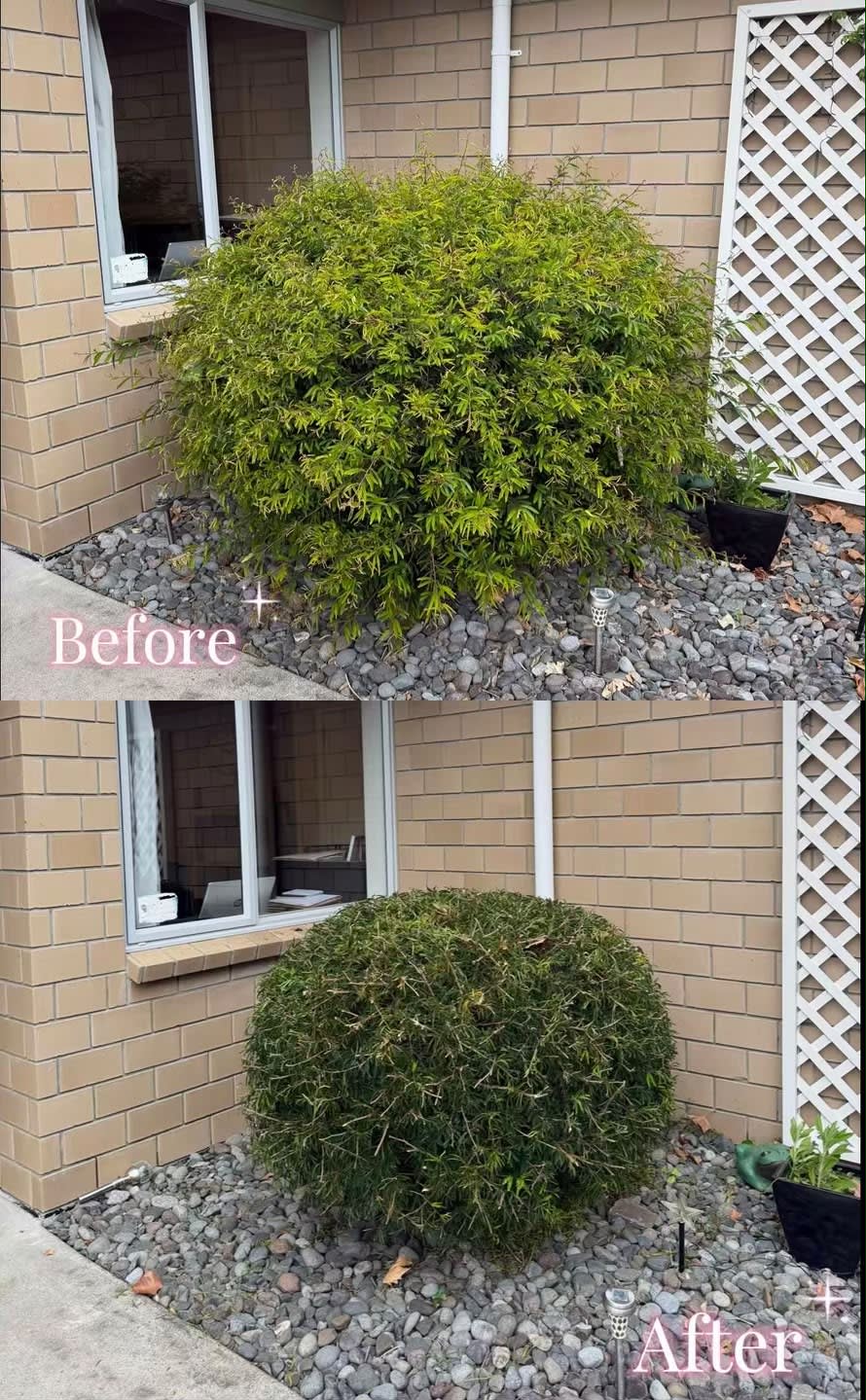 Fresh cut finish by Perfect Care Lawn & Gardening