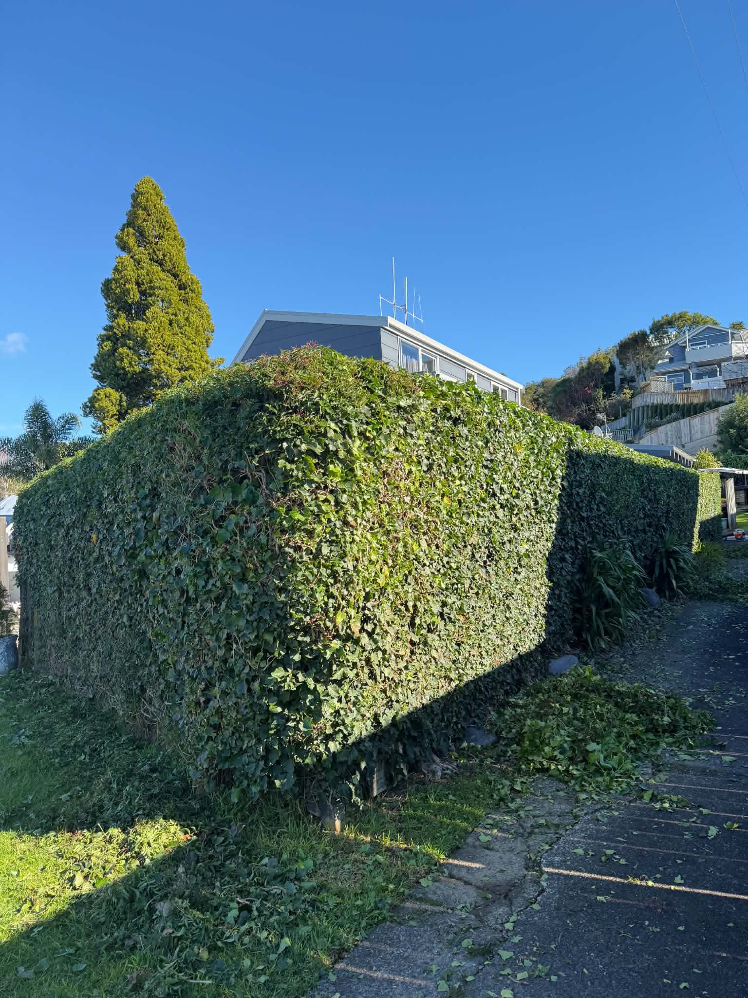 Neat edges by Perfect Care Lawn & Gardening