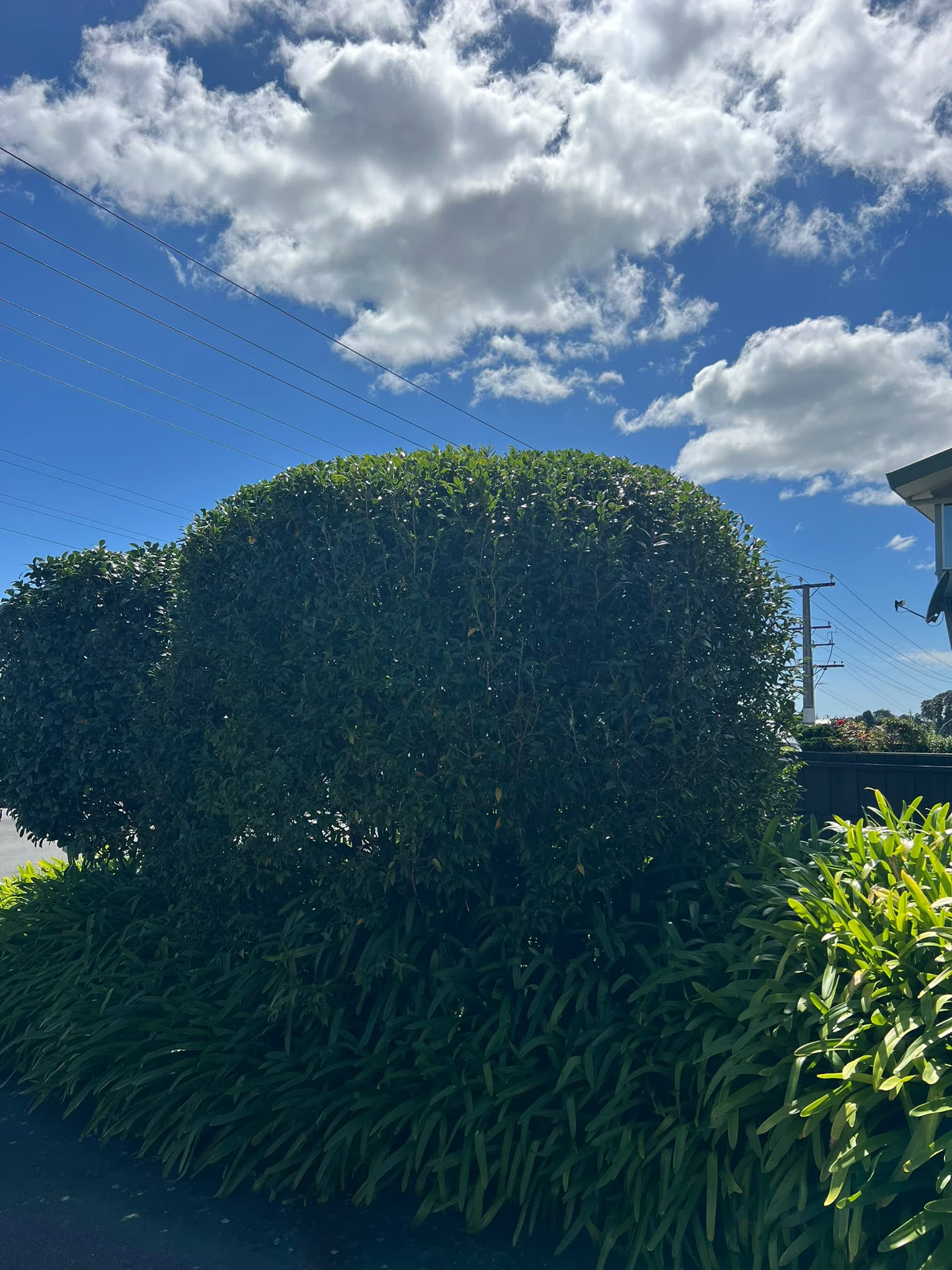 Garden detail by Perfect Care Lawn & Gardening