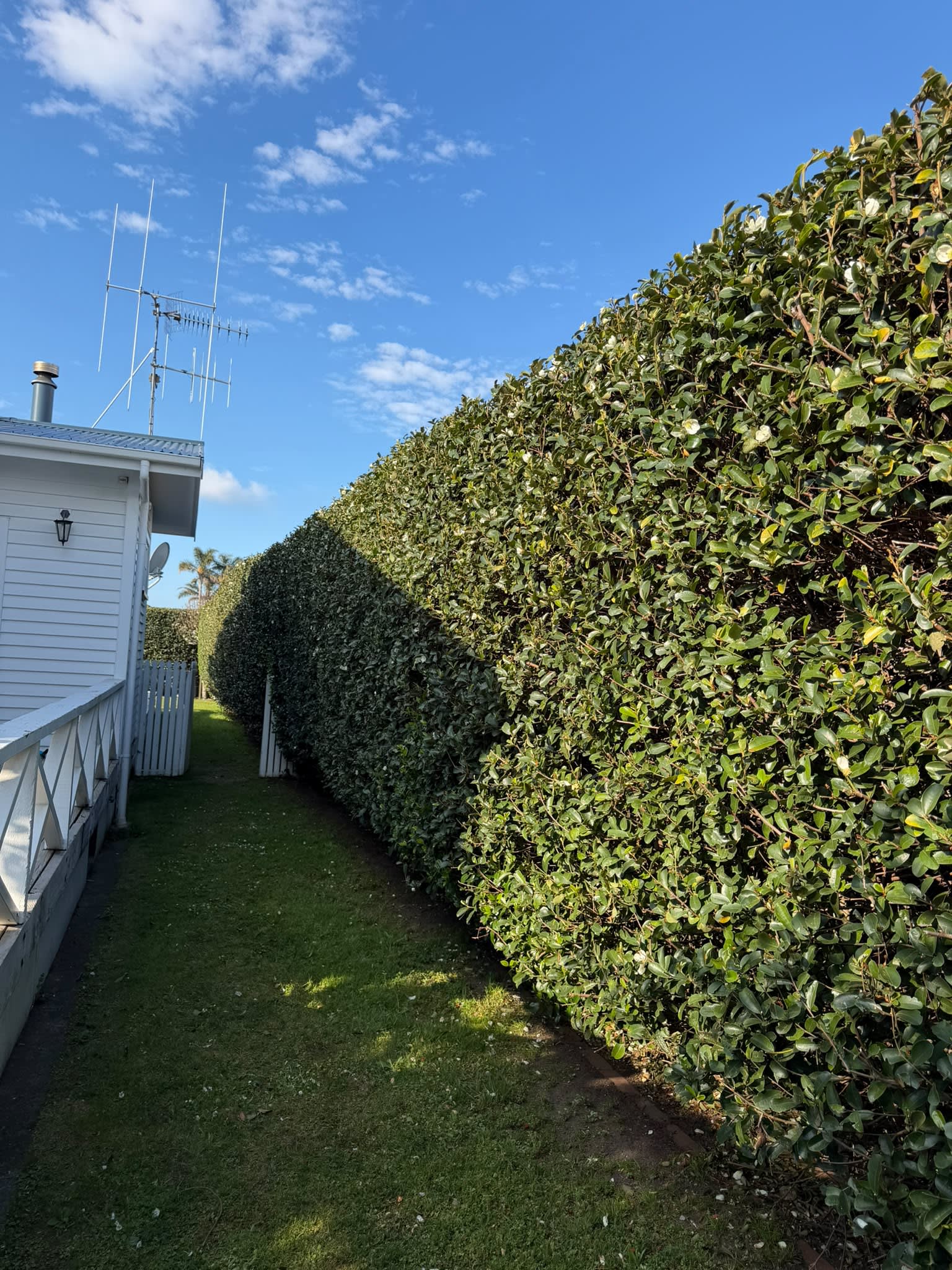 Green space revival by Perfect Care Lawn & Gardening