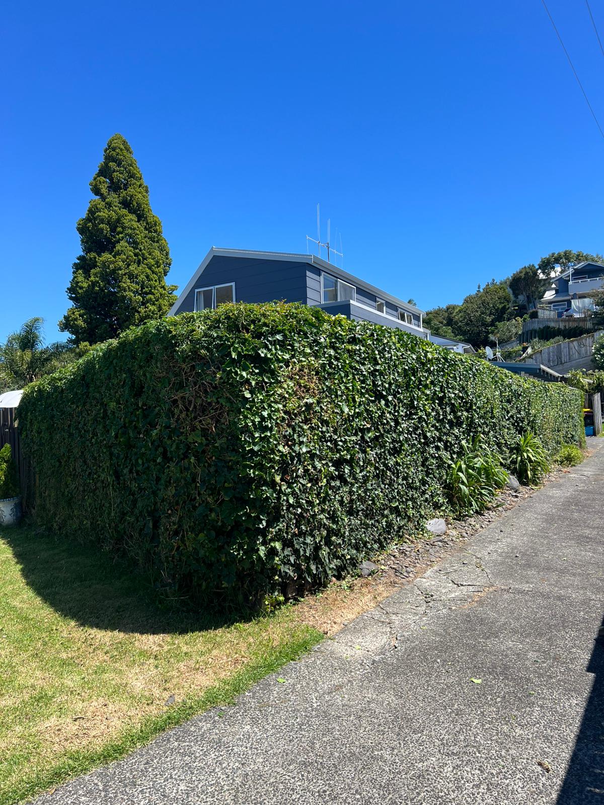 Property tidy-up by Perfect Care Lawn & Gardening