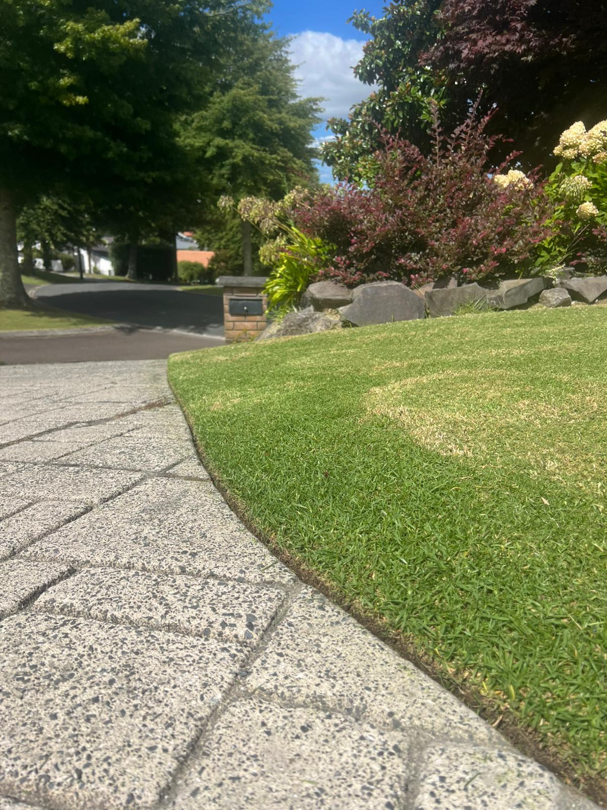 Garden results by Perfect Care Lawn & Gardening