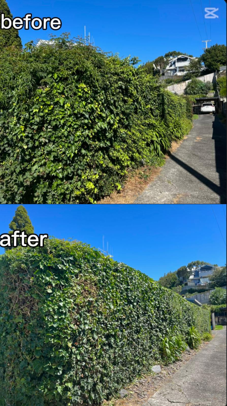 Detailed finish by Perfect Care Lawn & Gardening
