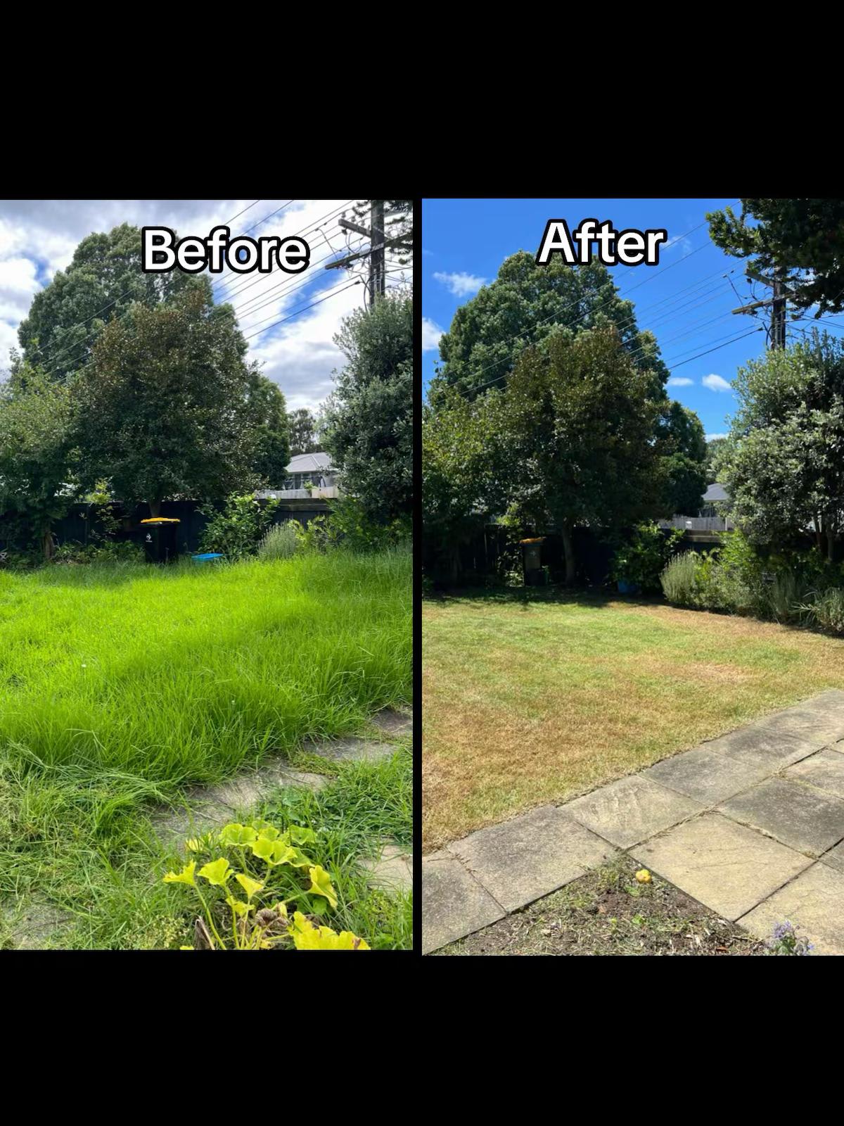 Outdoor transformation by Perfect Care Lawn & Gardening