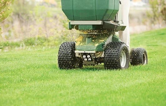 Lawn health by Perfect Care Lawn & Gardening
