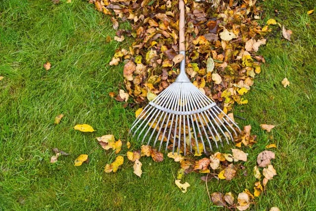 Seasonal cleanup by Perfect Care Lawn & Gardening