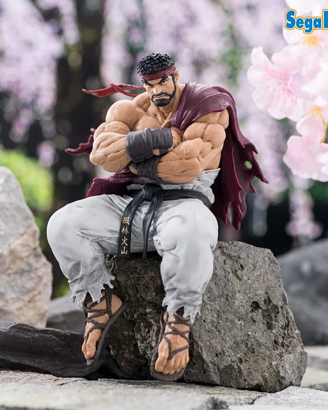 RYU SEGA